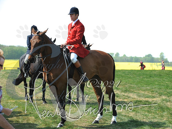 picture-11