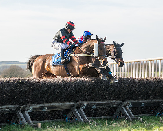Race 5 - Restricted (43 of 146)
