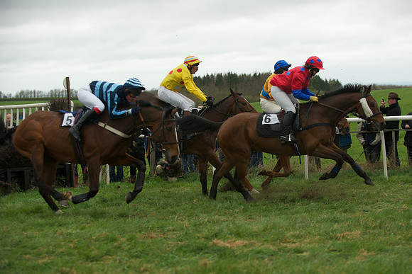Race 4 - Novice riders 51