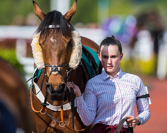 Race 1 - The open Hunter chase  (27 of 95)