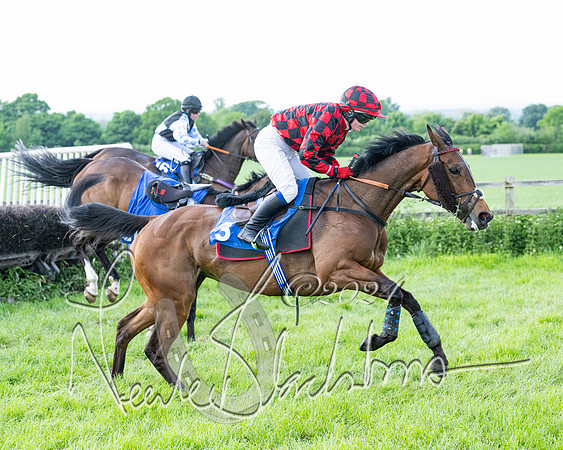 Race 5  - Maiden race 2m5F Div-2 (150 of 205)