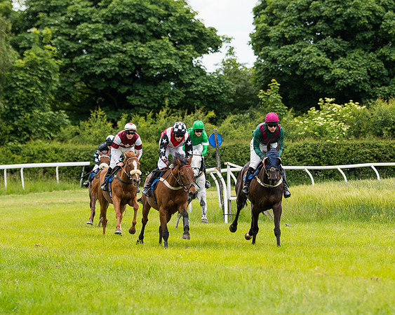 Race 1 - Owner Trainer Conditions  (74 of 133)