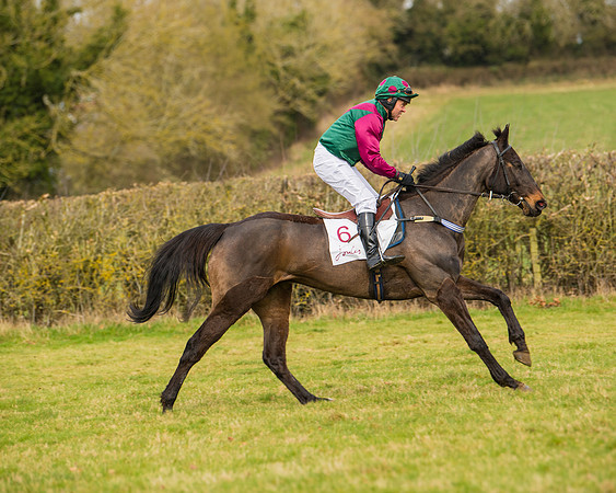Race 2 - Open Maiden (6 of 128)