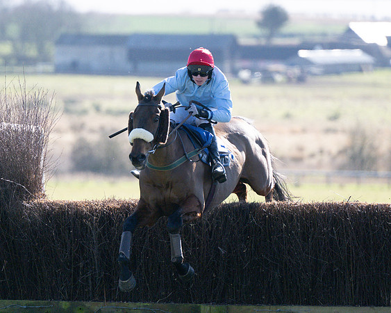 Race 1 - Veteran Horse (54 of 62)