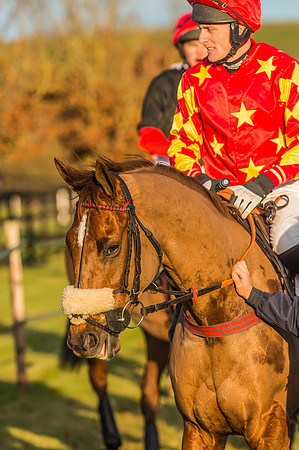Race 6 - 4 5 6 yr old 2m4f Maiden Race-13