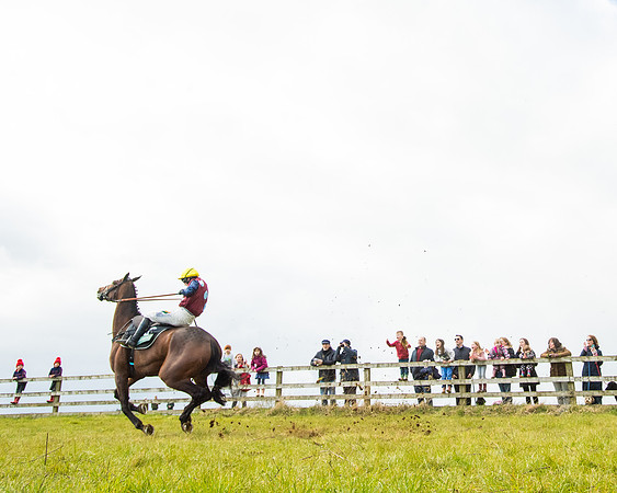 Race 5 - Restricted  (72 of 118)