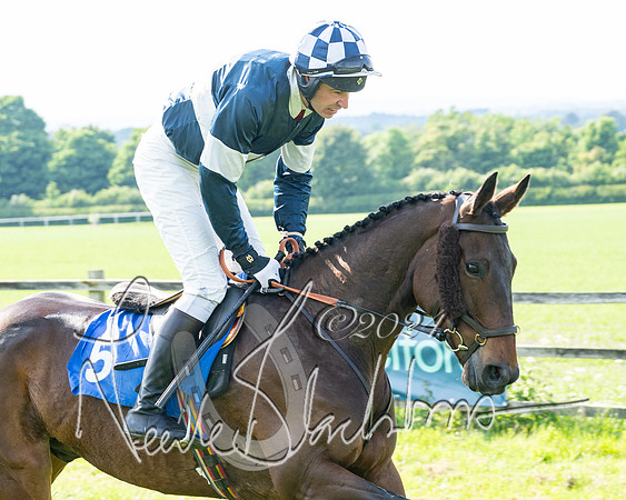 Race 5  - Maiden race 2m5F Div-2 (78 of 205)