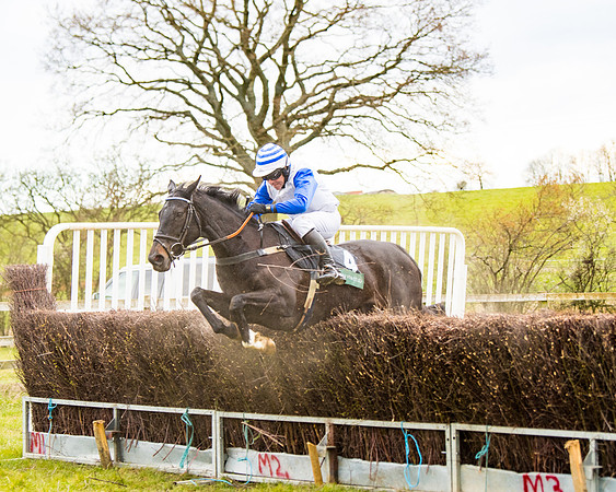 Race 6 - 6 year old and over Maiden 2m4f (20 of 62)