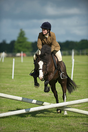 SOHS PC Summer Show at BCA 17th June 2012