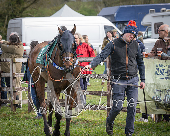 Race 3 - 5 years old and Over Maiden Race (3 of 130)