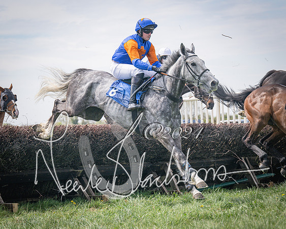 Race 2 - The Elliott of London maiden race (43 of 137)