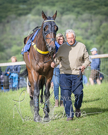 Race 6 - Thorn Plant Hire Maiden Race (8 of 129)
