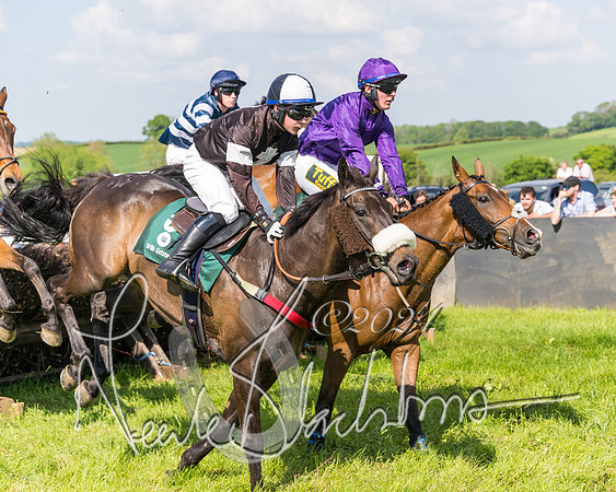 Race 4 - PPORA Novice Riders Final  (232 of 362)