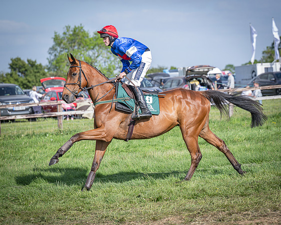 Race 6 - 2m5f Conditions (23 of 70)