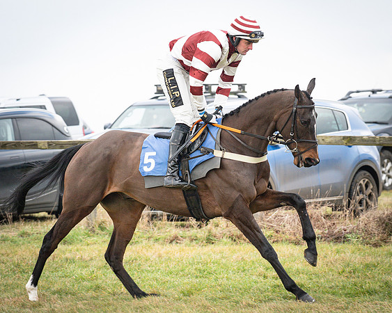 Race 2 - The Maiden (7 of 156)