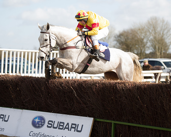 Race 1 - 4-5-6 Maiden (108 of 119).jpg