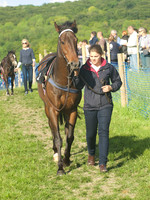 PNY_0562