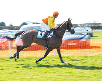 Race 1 - Open Maiden Div 1 (11 of 88).jpg