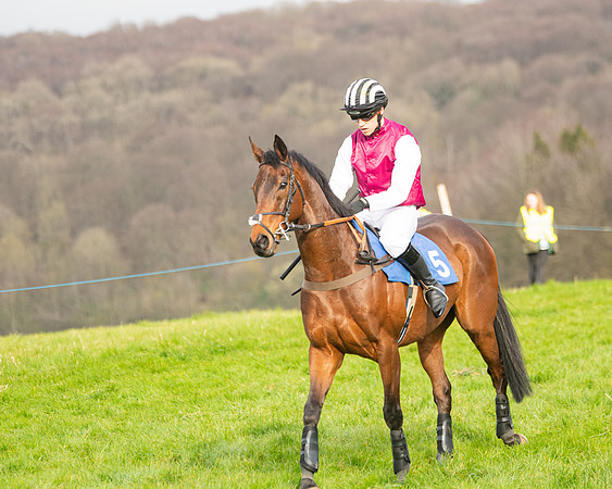Race 6 - The Restricted Race (78 of 200)