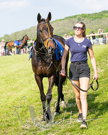 Race 5  - Maiden race 2m5F Div-2 (46 of 205)