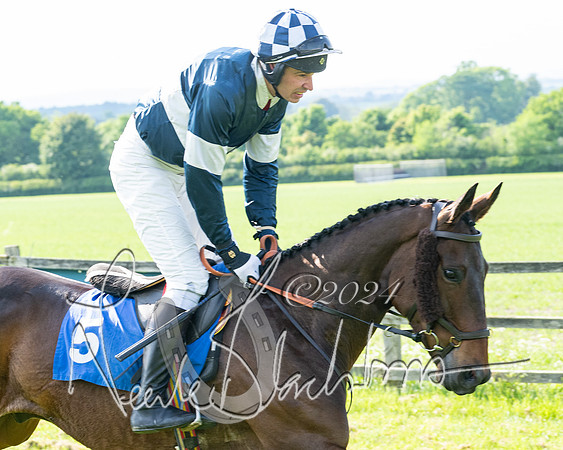 Race 5  - Maiden race 2m5F Div-2 (80 of 205)
