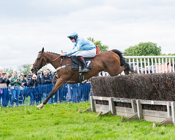 Race 2 - Veteran Horse (21 of 80)