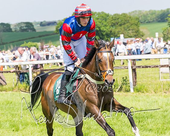 Race 2 - The Maiden  (118 of 442)