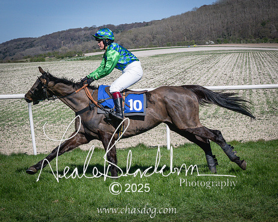 Race 5 - The restricted (26 of 113)
