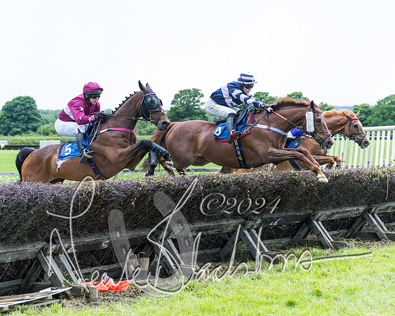 Race 3 - Conditions (222 of 367)