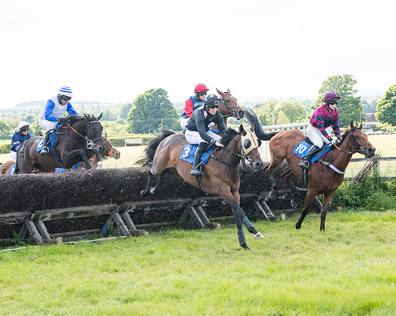 Race 6 - Open Maiden (96 of 227)