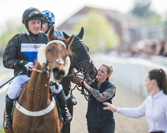 Race 1 - The open Hunter chase  (87 of 95)