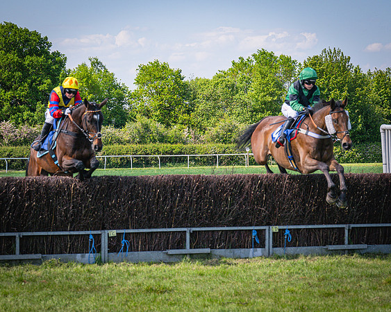 Race 3 The College and County Ladies Open Race (35 of 122)
