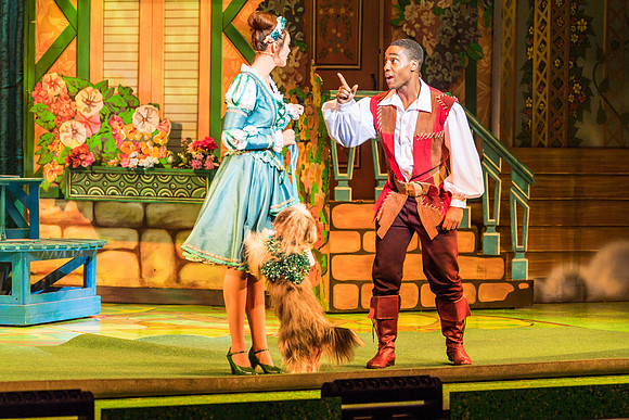 Swan Panto 2017