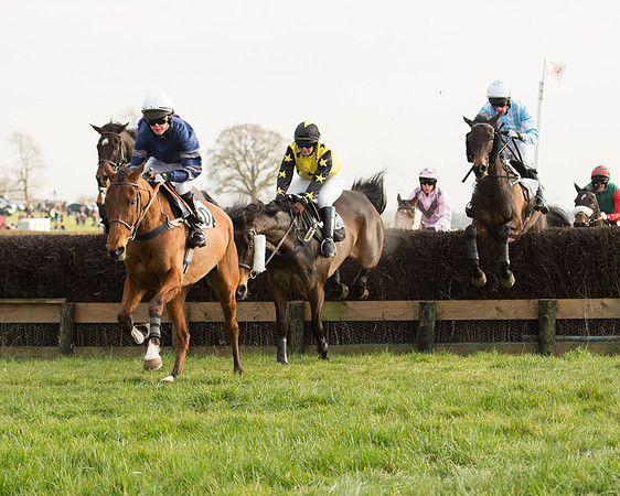 Race 6 - Open Maiden Race (54 of 99).jpg