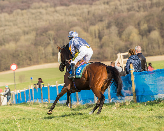 Race 5 - Restricted (4 of 146)