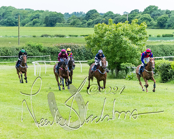 Race 3 - Conditions (207 of 367)