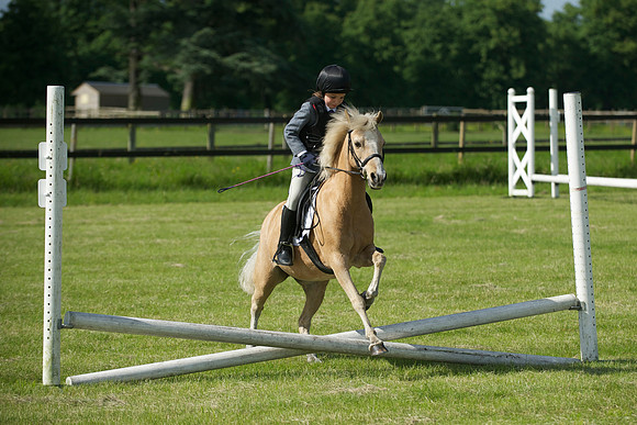 SOHS PC Summer Show at BCA 17th June 2012