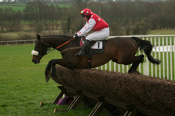 Race 5 - 71