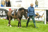 Pony Race - 1   2