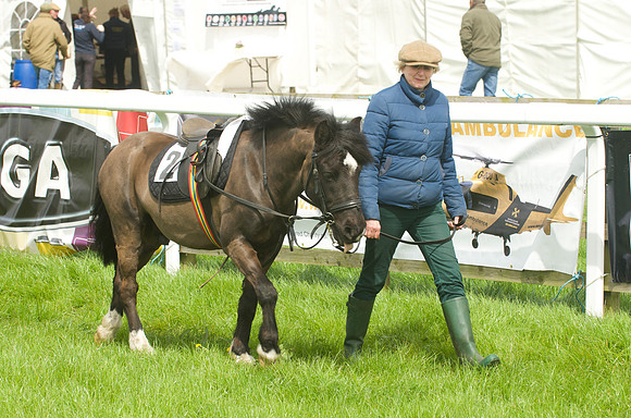 Pony Race - 1   2