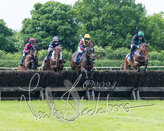 Race 3 - Conditions (164 of 367)