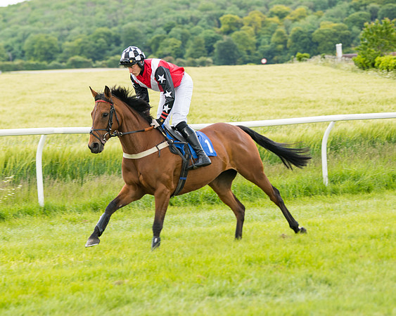 Race 1 - Owner Trainer Conditions  (39 of 133)