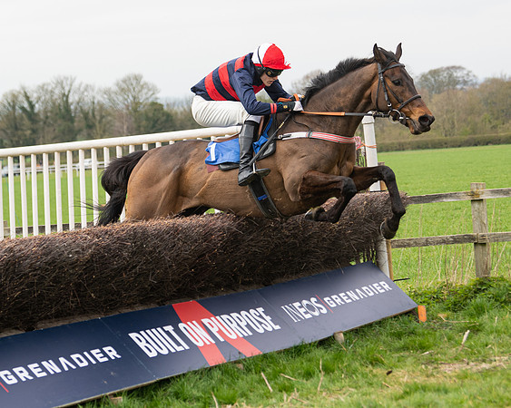 Race 2 - Veteran Horse (114 of 153)