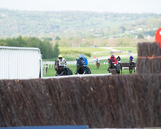 Race 1 - The open Hunter chase  (49 of 95)