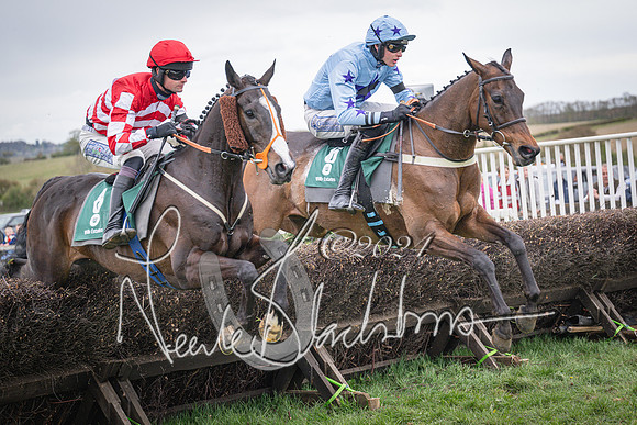 Race 6 - The Restricted Race (59 of 101)