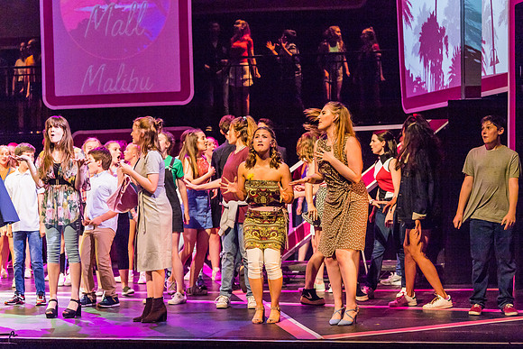 Legally Blonde The Musical