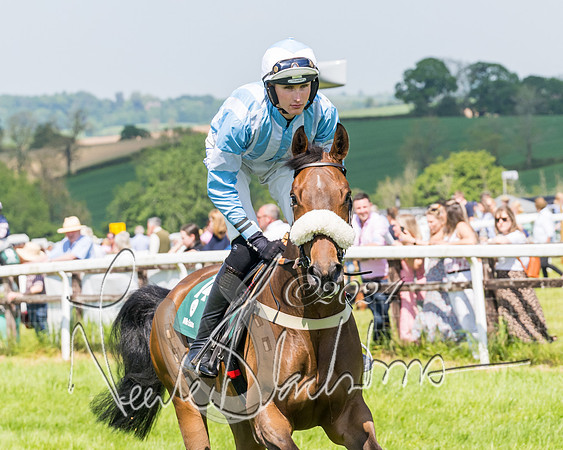 Race 2 - The Maiden  (79 of 442)