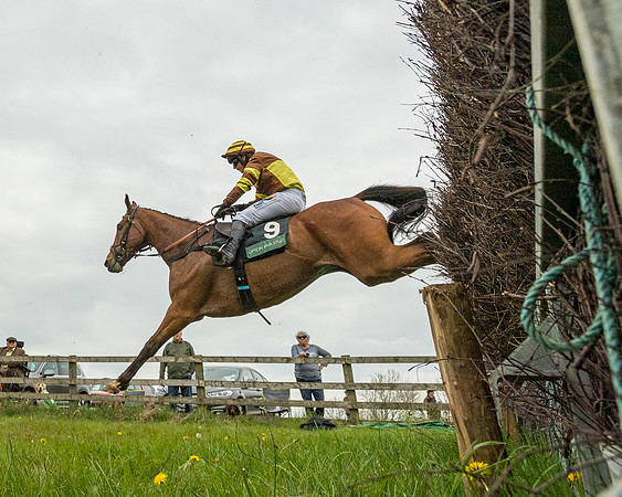 Race 2 - Jockey Club ROR veteran Horse (87 of 104)
