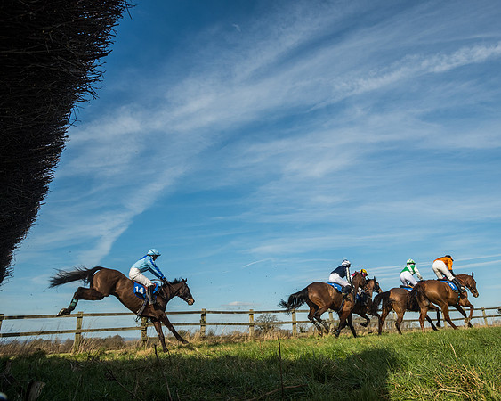 Race 3 - Ladies Open (79 of 156)