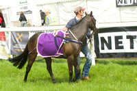 Pony Race - 1   1